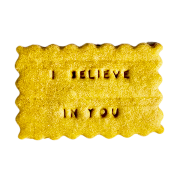 I believe in you